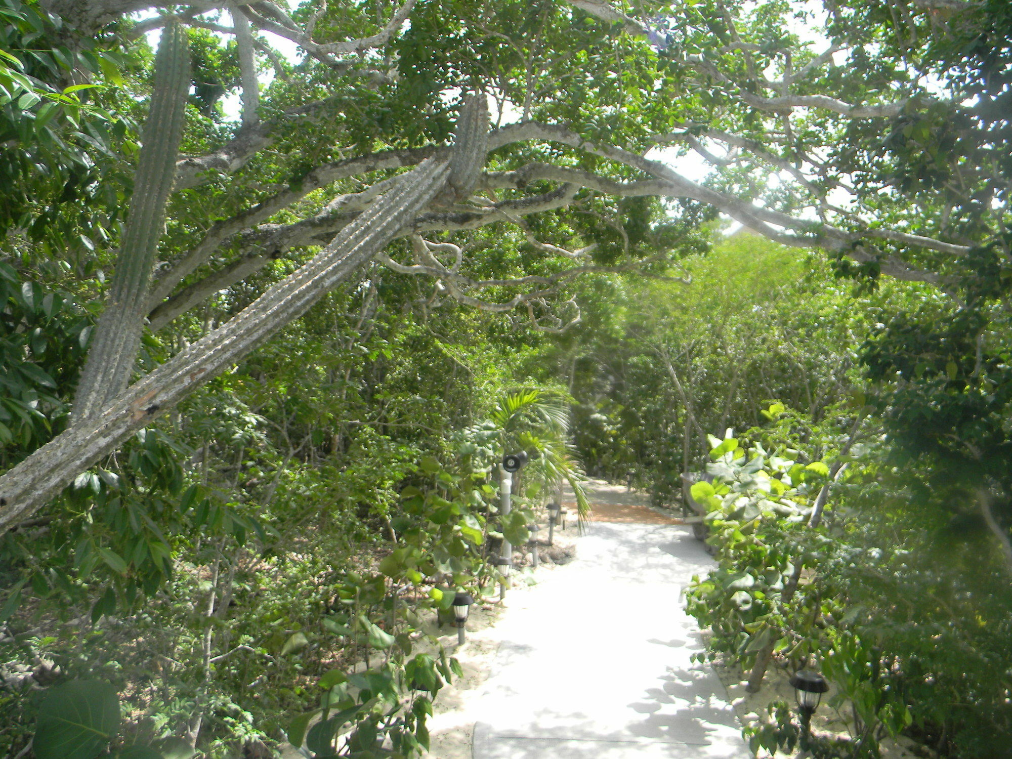 Harbor Breeze Villas Clarence Town Exterior photo