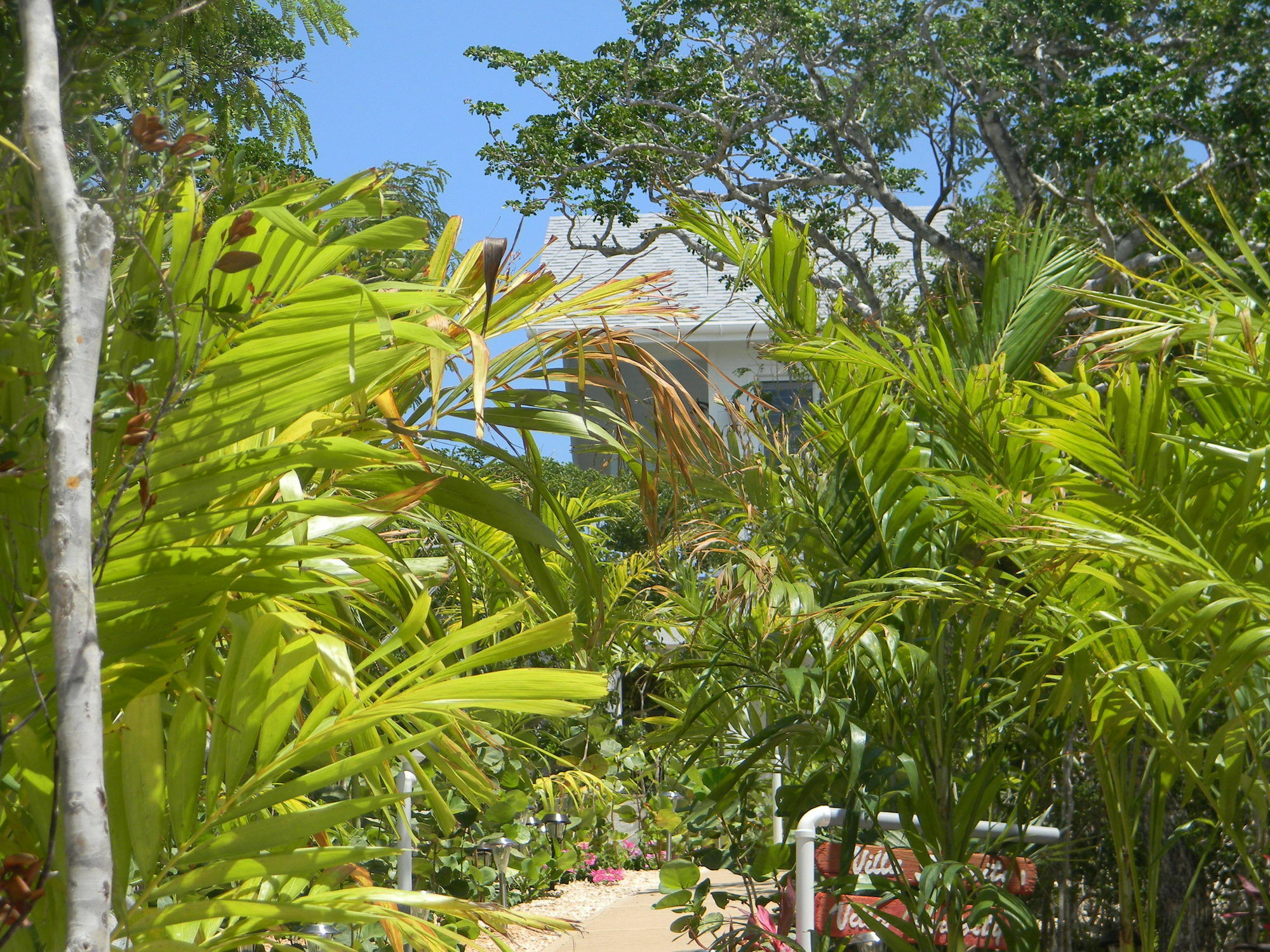 Harbor Breeze Villas Clarence Town Exterior photo